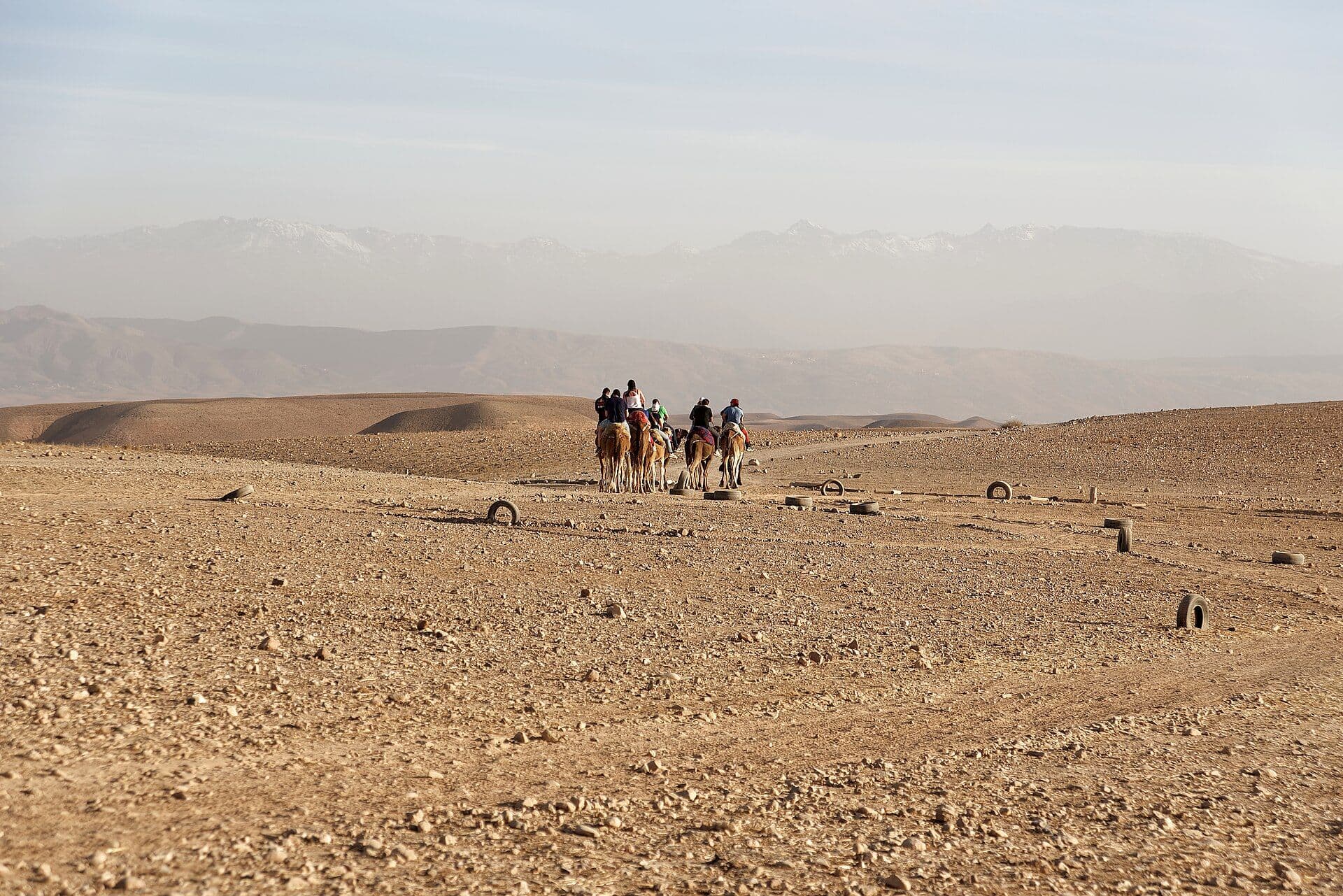 Walkers with camels in the bare hills of the Agafay Desert, with the Atlas Mountains in the background