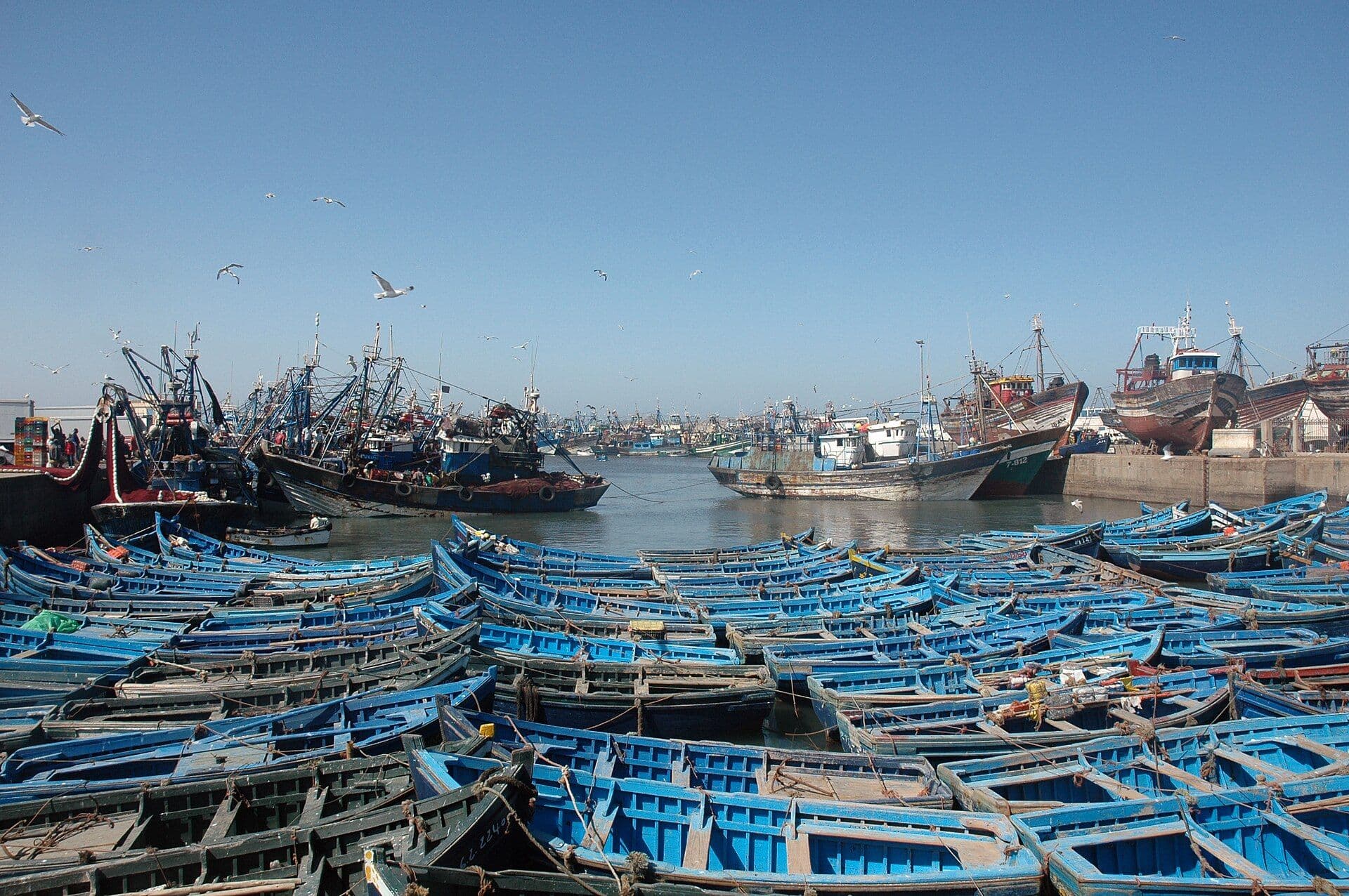 Blauwe vissersboten in de haven van Essaouira