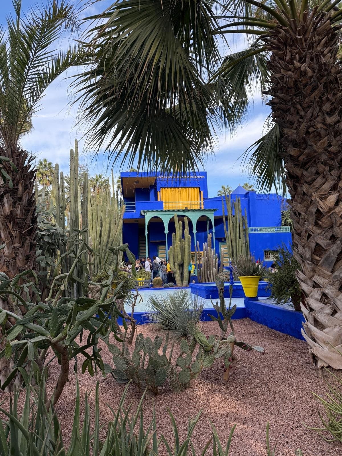 Het kobaltblauwe huis in de Jardin Majorelle in Marrakesh, met cactussen en palmen ervoor