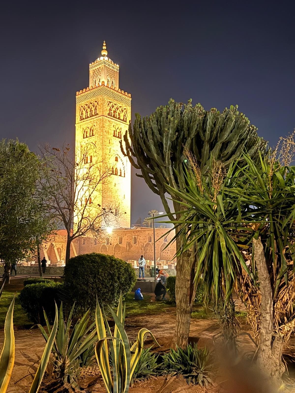 De verlichte minaret van de Koutoubia-moskee in Marrakesh 's avonds, met palmen en cactussen ervoor