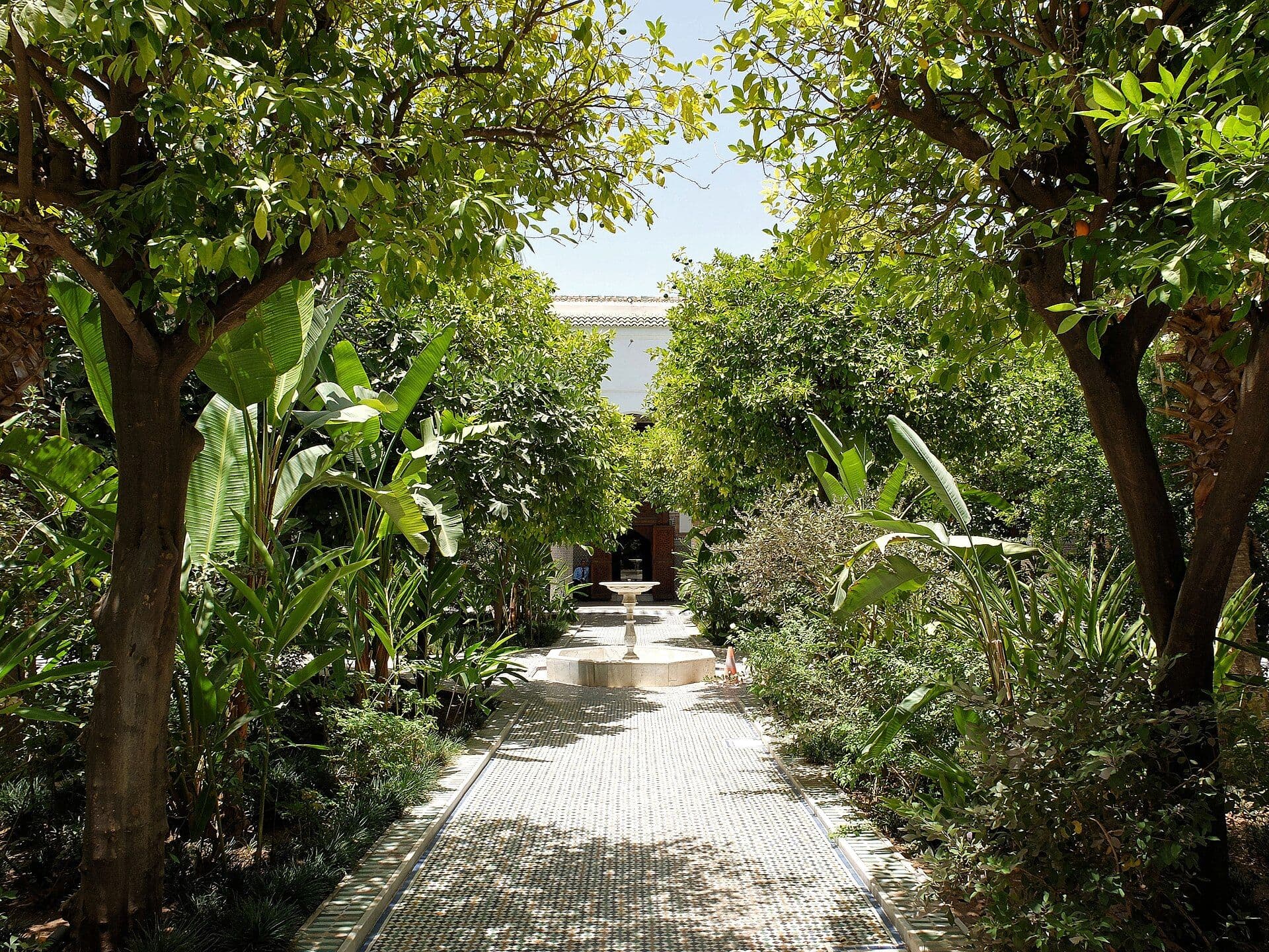 A shaded riad courtyard in Marrakesh with orange trees