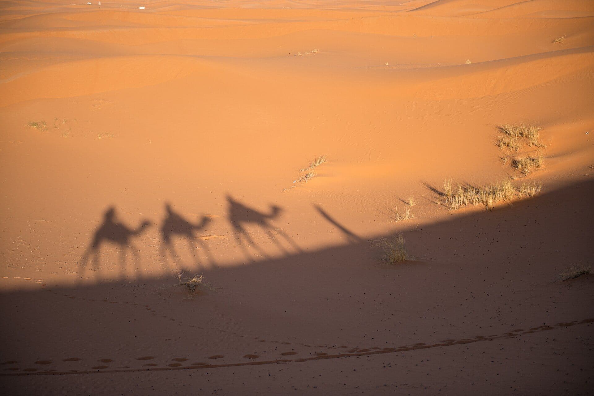 Schaduwen van kamelen en hun begeleider op de duinen van Erg Chebbi